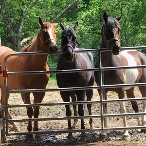 Meet your Posher, Dustin